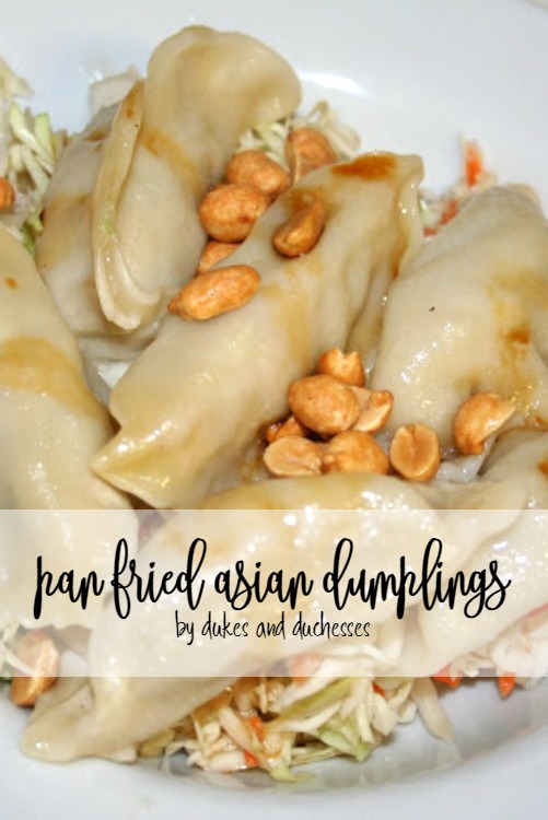 pan fried asian dumplings