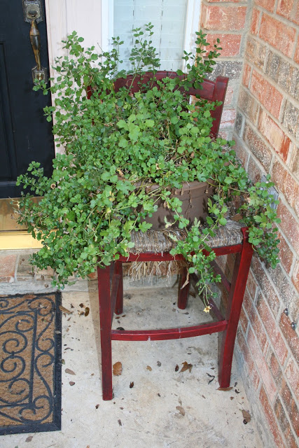 A potted chair