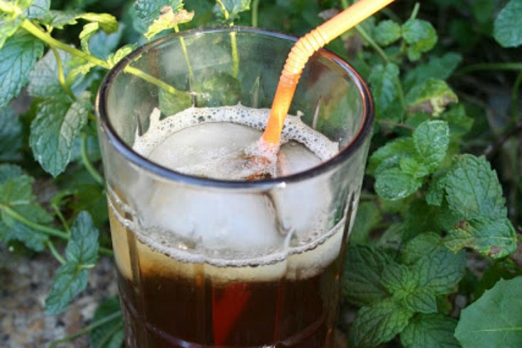 lemon mint earl grey iced tea