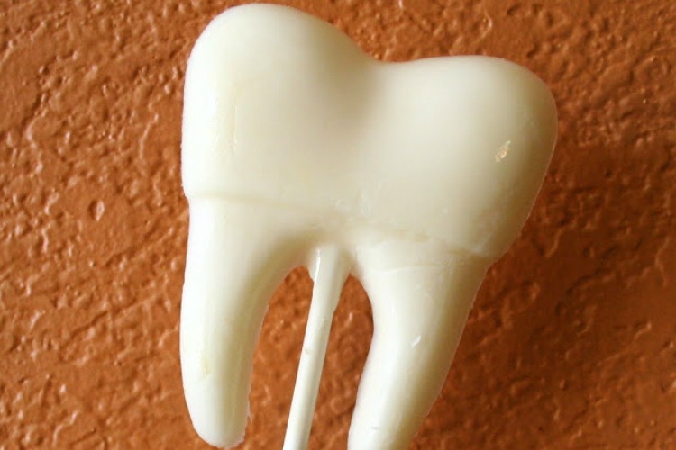 lost tooth idea for kids