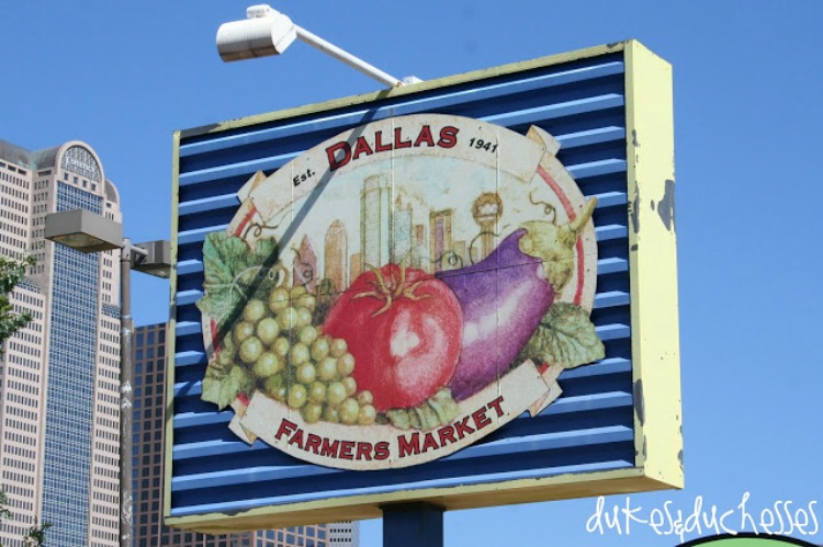 dallas outings for kids