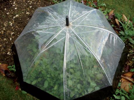 10 ways to repurpose old umbrellas