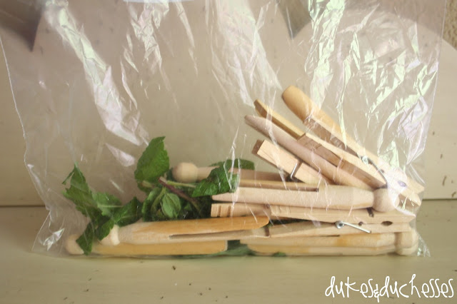 infused scented clothespins