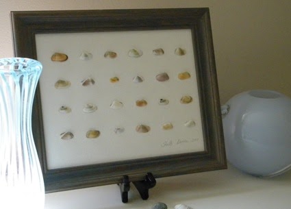 shell crafts :: shell specimen art