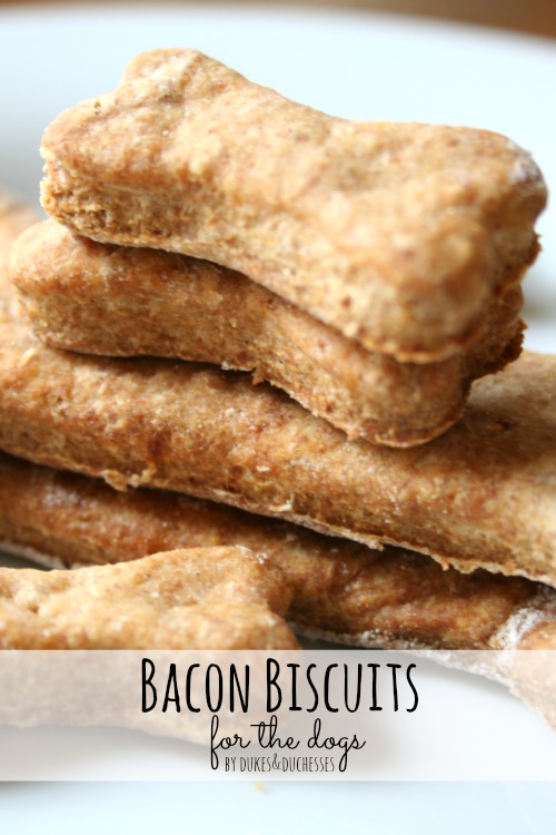 bacon dog biscuits