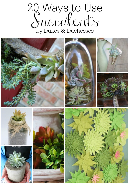 20 ways to use succulents