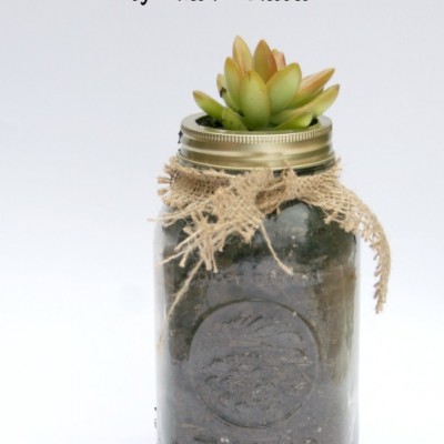 Succulent in a Mason Jar