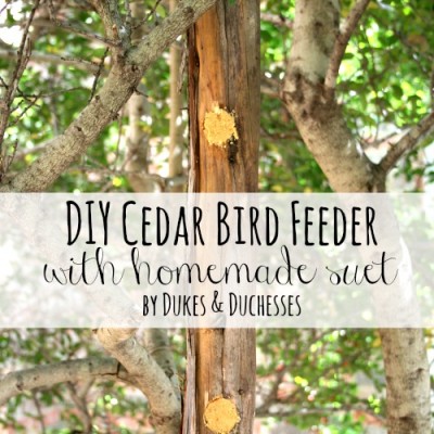 DIY Cedar Bird Feeder with Homemade Suet