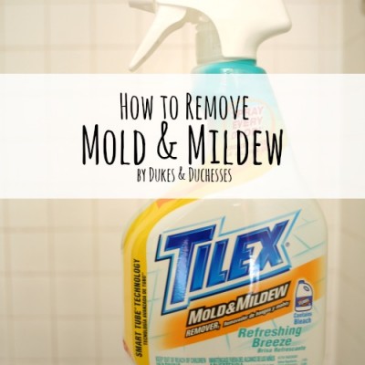 How to Remove Mold and Mildew