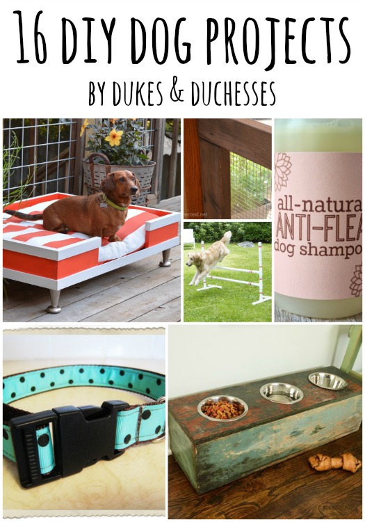 DIY dog projects