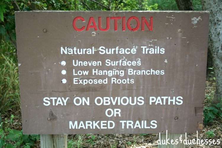 nature trail