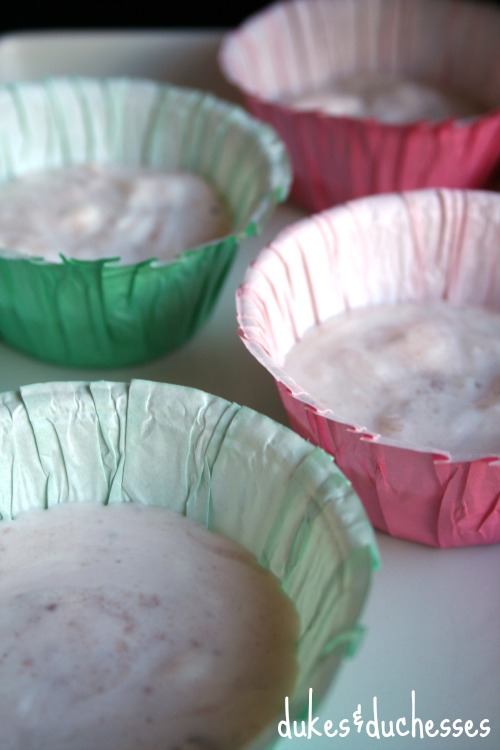 yulu yogurt in cupcake wrappers