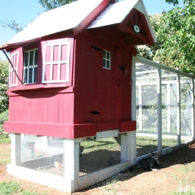 DIY Chicken Coop