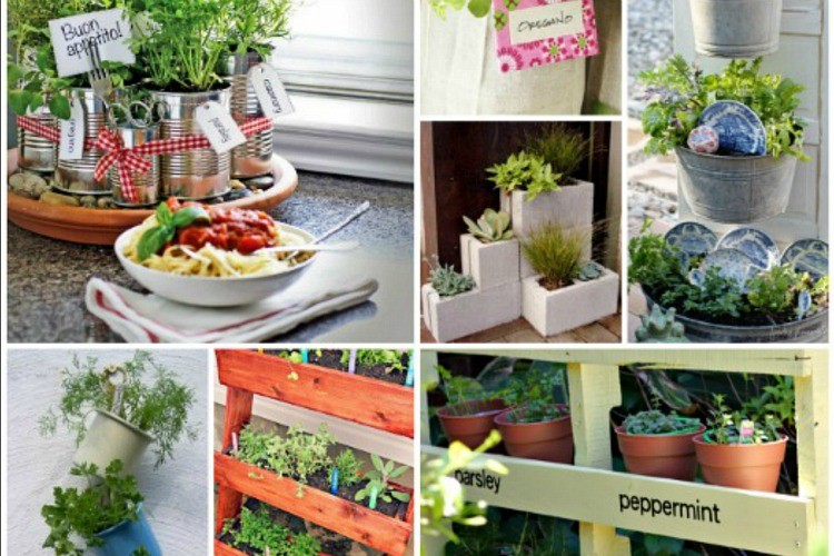 25+ Ways to Make an Herb Garden