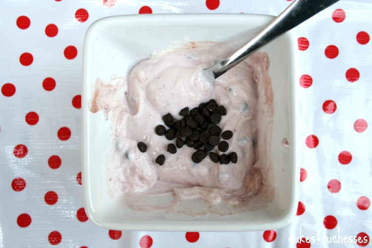 yulu yogurt with mini chocolate chips