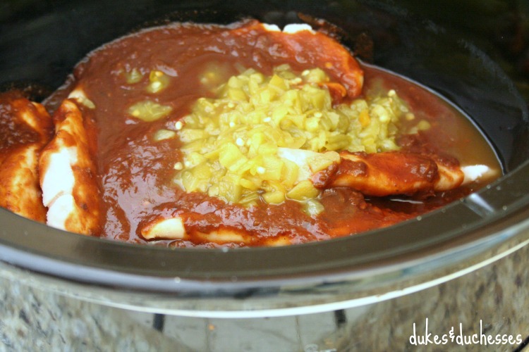 chicken and salsa in crockpot