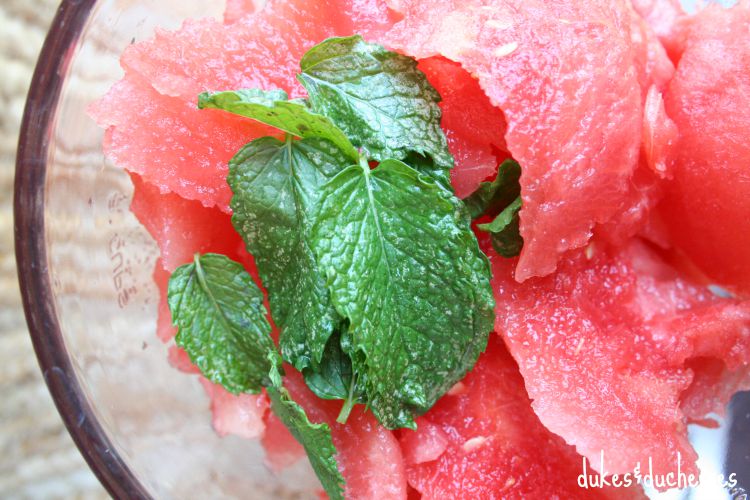 mint and watermelon in blender
