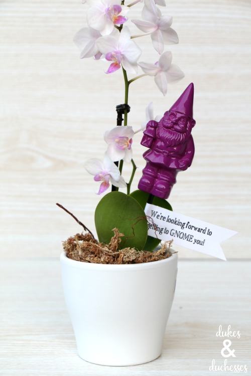 getting to gnome you housewarming gift for a neighbor