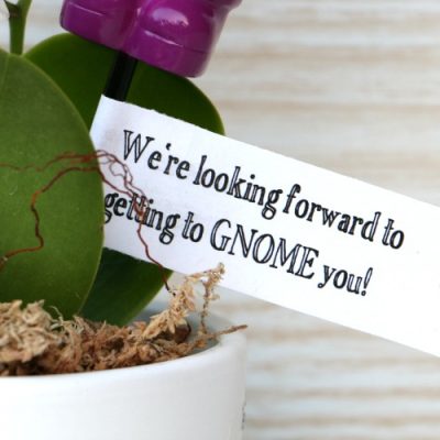 Getting to Gnome You Housewarming Gift