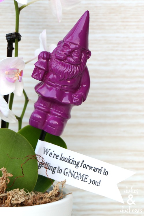 gnome housewarming gift