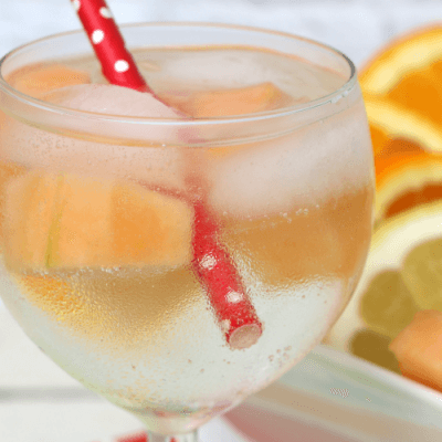 Wine Spritzer Recipe
