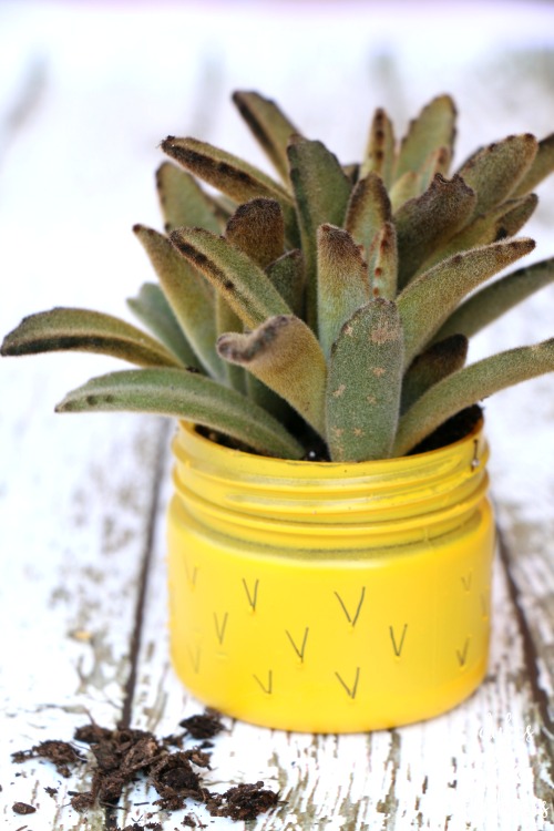 painted pineapple succulent planter