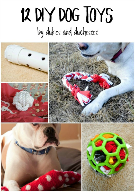 DIY Dog Toys Made From Common Household Items