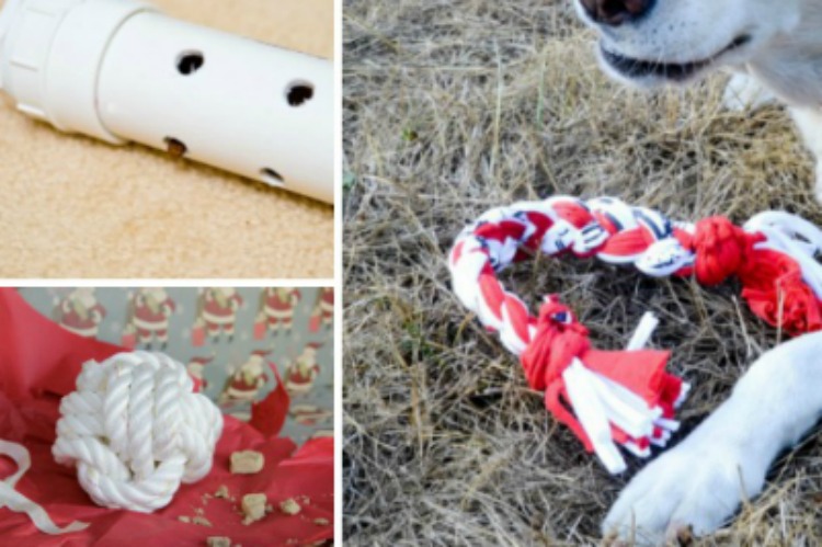 DIY dog toys