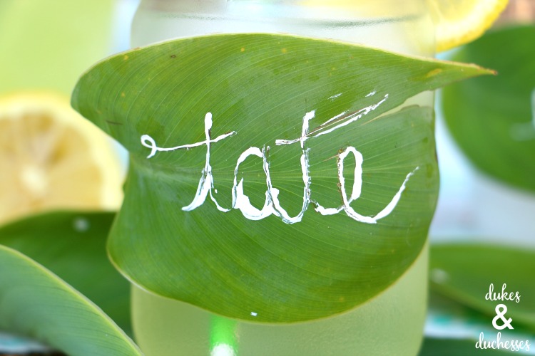 leaf glass markers and coasters