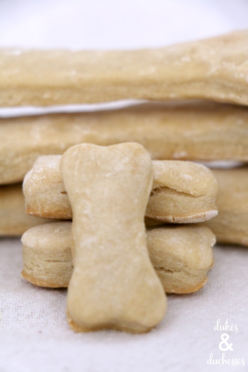 apple dog biscuits