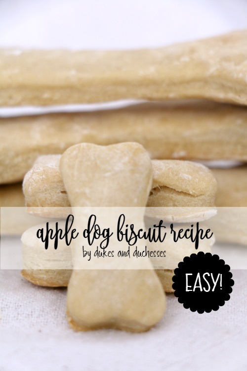 easy apple dog biscuit recipe