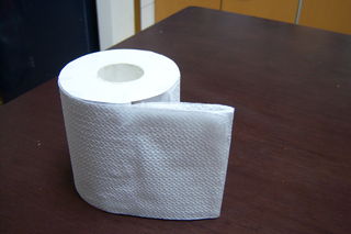 fake toilet paper roll