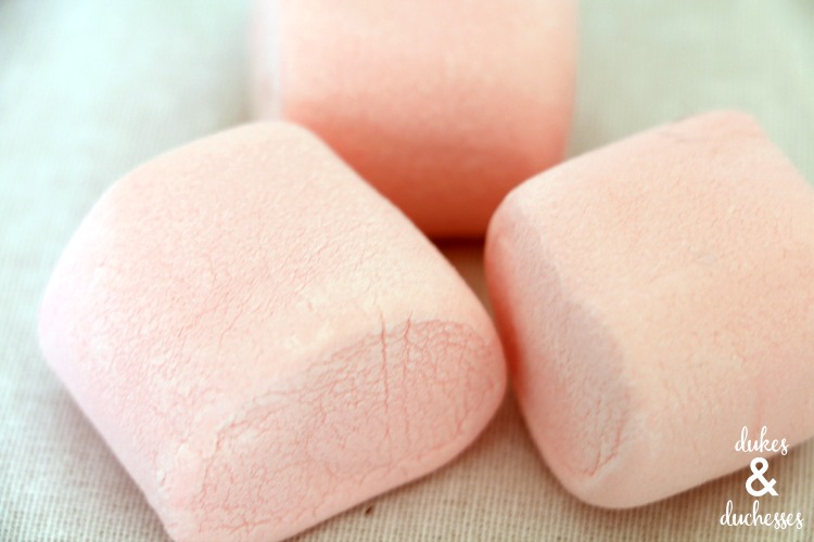 pink marshmallows to make bunnies