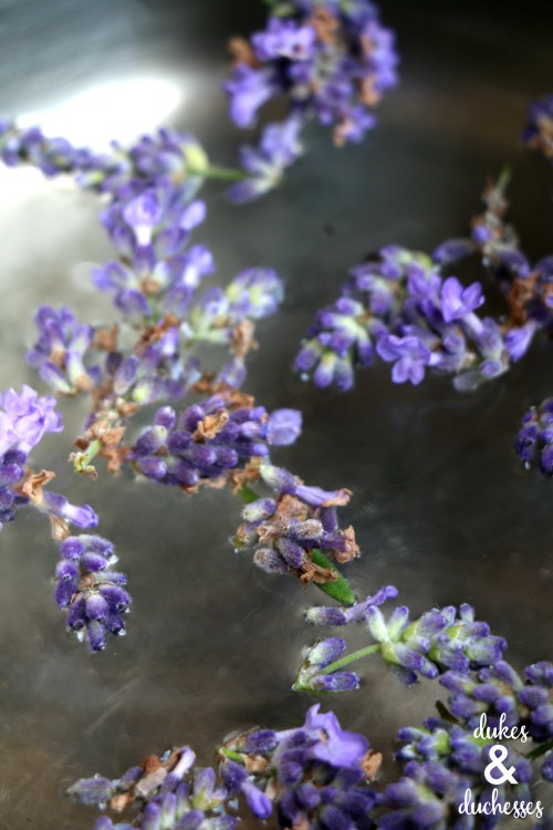 how to make lavender simple syrup