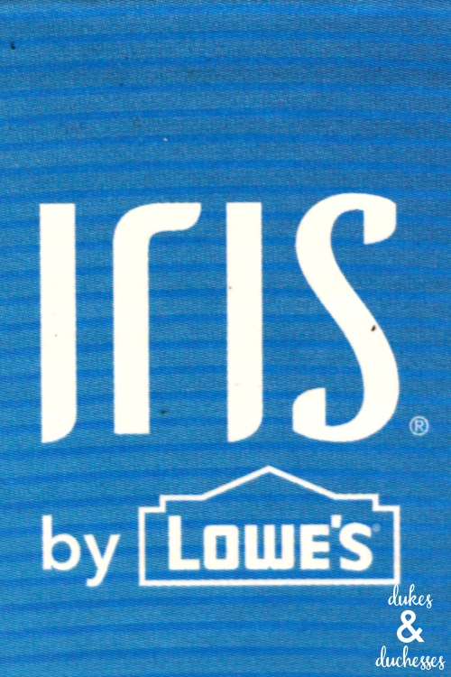 iris by lowe's