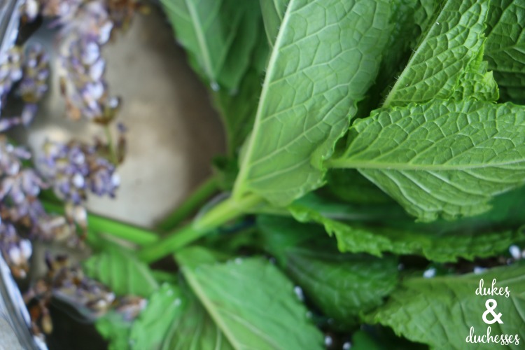 mint and lavender simple syrup recipe