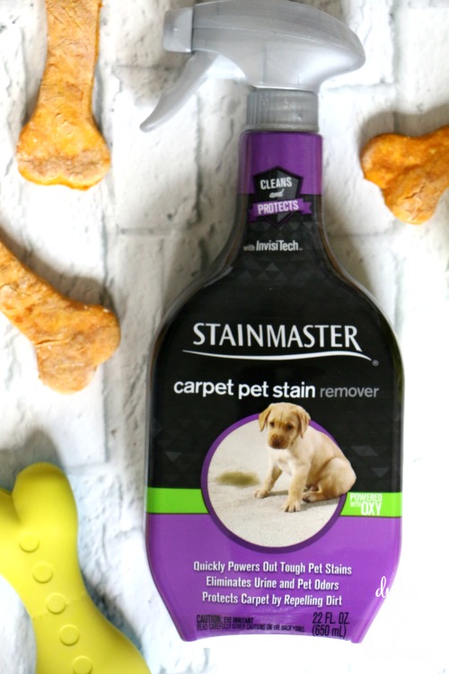 stainmaster carpet pet stain remover