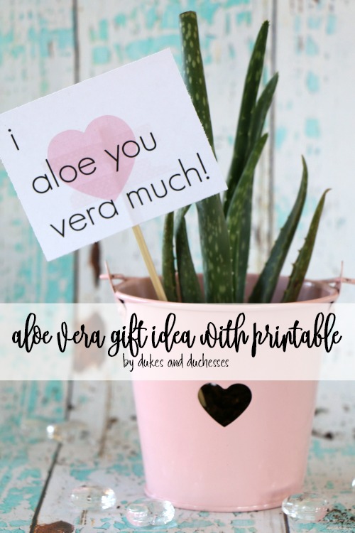 aloe vera gift idea with printable