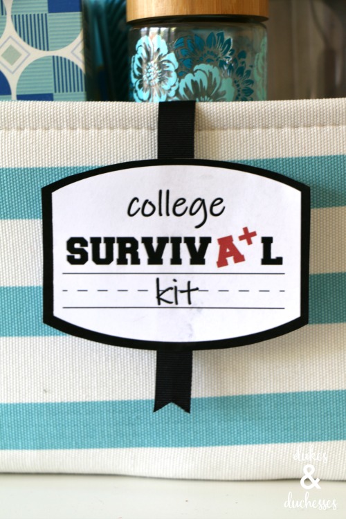 college survival kit ideas and printable