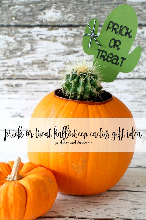 prick or treat halloween cactus gift idea