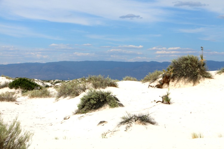 visiting white sands national monument in new mexico