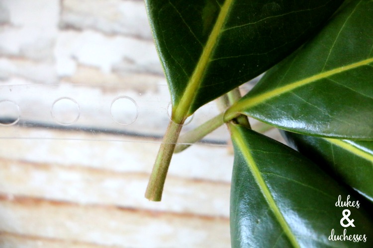 how to make a magnolia leaf garland
