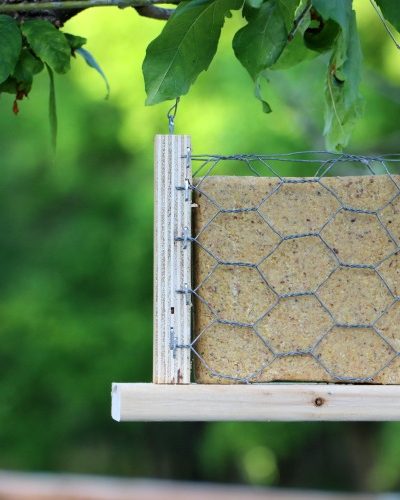 scrap wood suet bird feeder