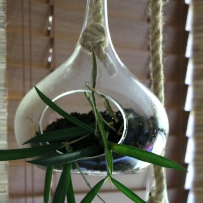 DIY Upcycled Pulley Planter