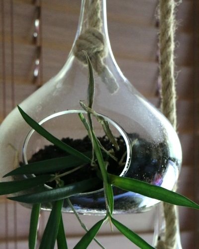 upcycled planter idea