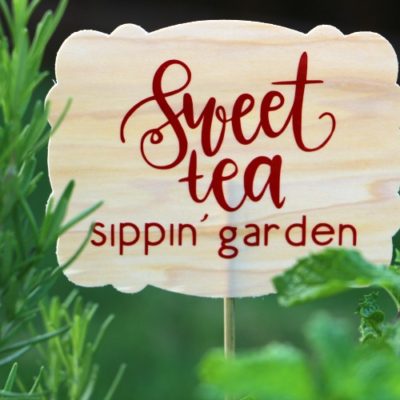 Southern Sweet Tea Container Garden